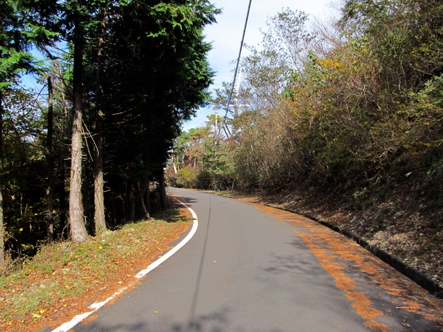 t11_135.jpg