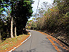t11_135_thumb.jpg
