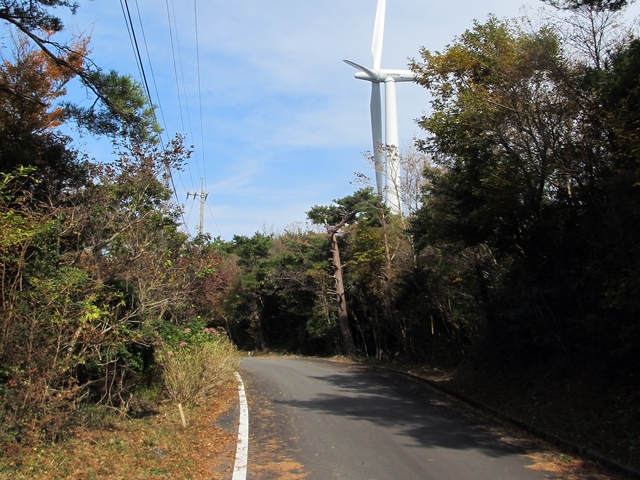 t11_136.jpg