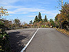 t11_137_thumb.jpg
