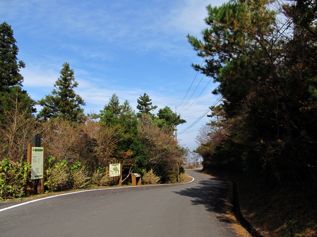 t11_138.jpg
