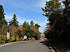 t11_138_thumb.jpg