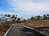 t11_139_thumb.jpg