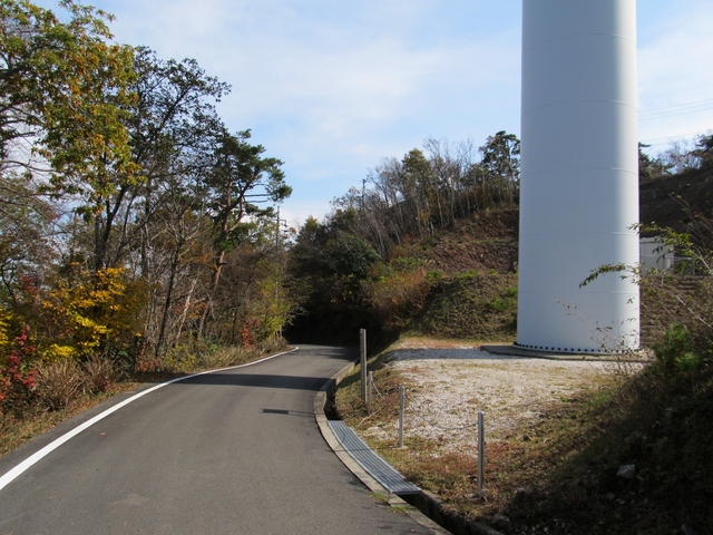 t11_140.jpg