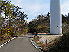 t11_140_thumb.jpg
