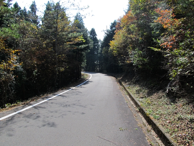 t11_141.jpg