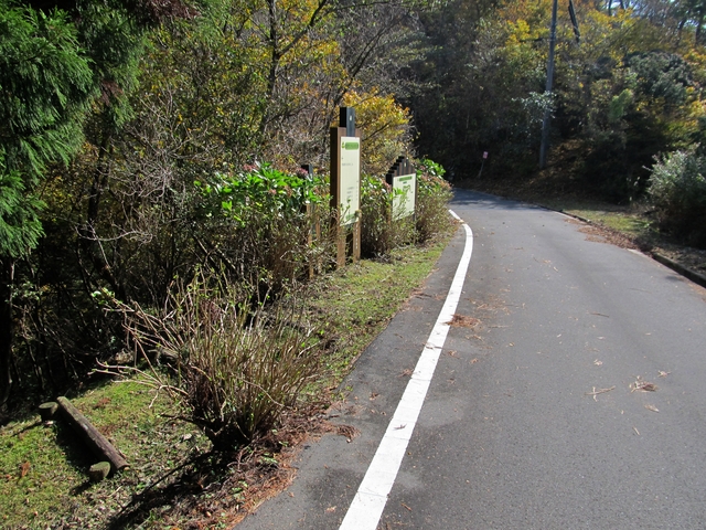 t11_142.jpg