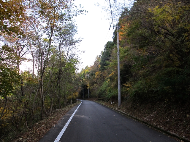 t11_143.jpg