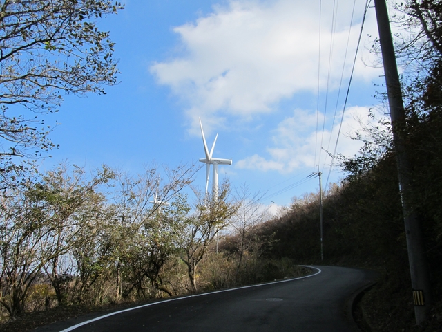 t11_145.jpg