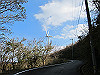 t11_145_thumb.jpg