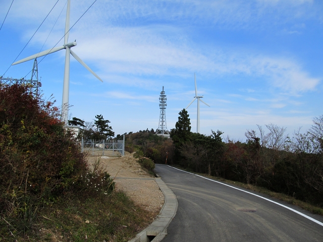 t11_150.jpg