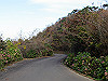t11_151_thumb.jpg