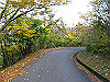 t11_153_thumb.jpg
