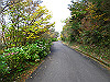 t11_154_thumb.jpg