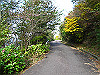 t11_155_thumb.jpg