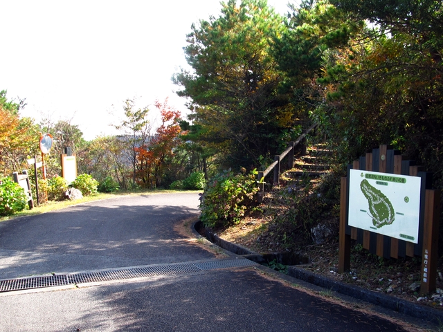 t11_157.jpg