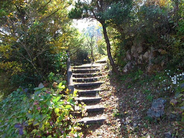 t11_158.jpg