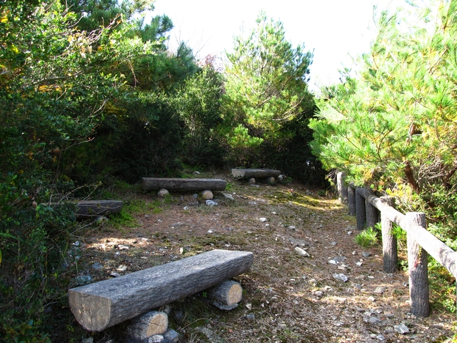 t11_161.jpg