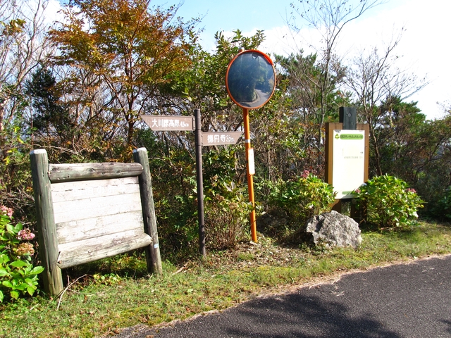 t11_162.jpg