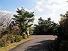 t11_163_thumb.jpg