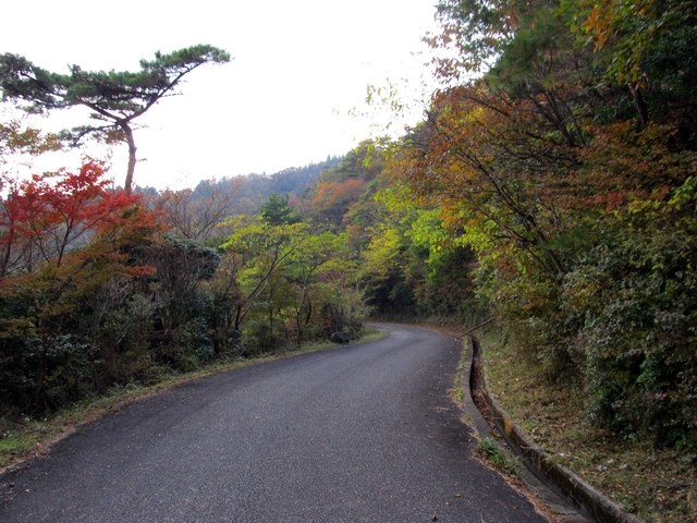 t11_164.jpg