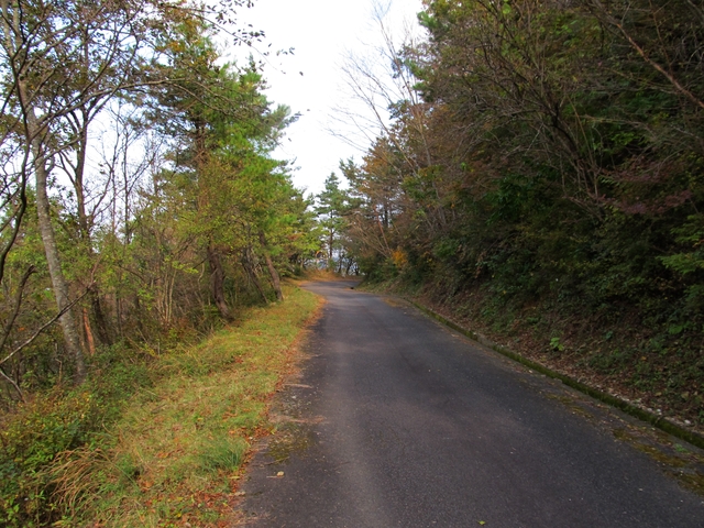 t11_166.jpg