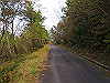 t11_166_thumb.jpg