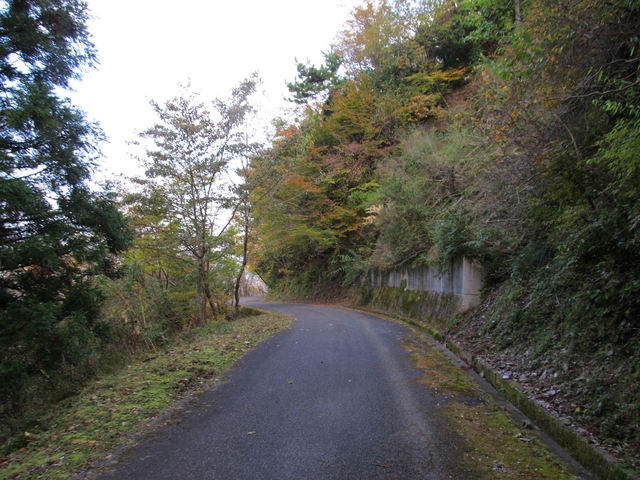 t11_167.jpg