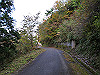 t11_167_thumb.jpg