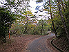 t11_168_thumb.jpg