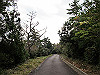 t11_169_thumb.jpg