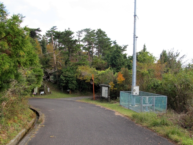 t11_170.jpg