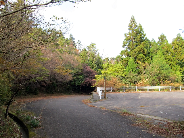 t11_175.jpg