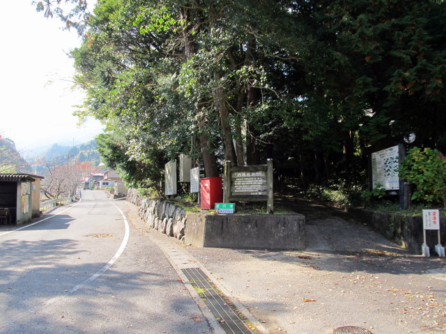 t12_001.jpg
