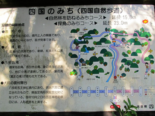 t12_002.jpg