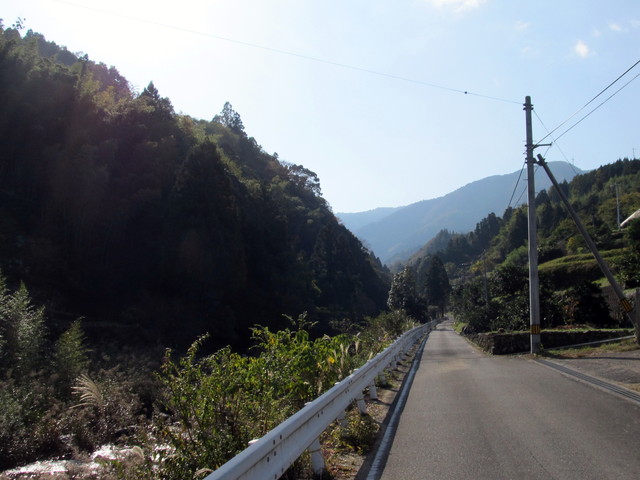 t12_004.jpg