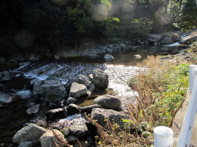 t12_005.jpg