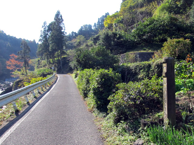 t12_007.jpg