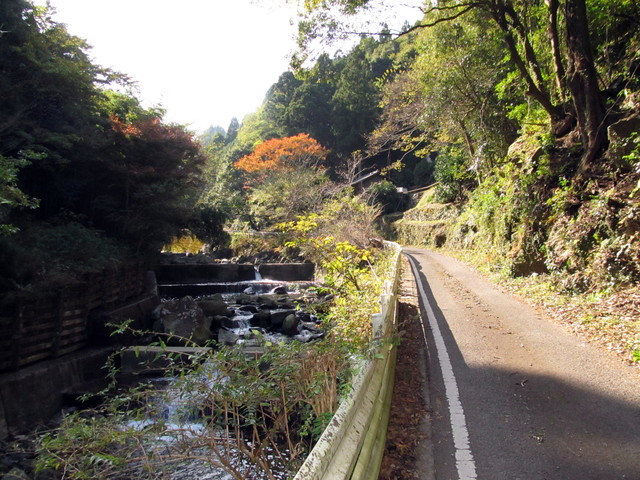 t12_008.jpg