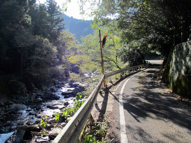 t12_010.jpg