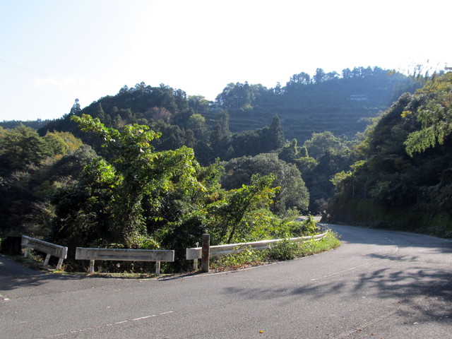 t12_012.jpg