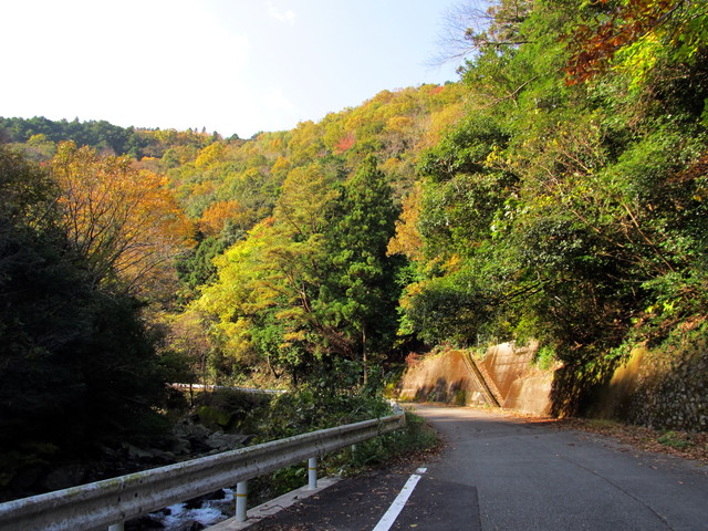 t12_013.jpg