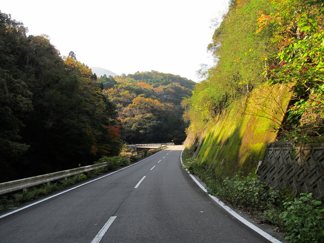 t12_014.jpg
