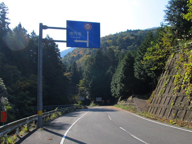 t12_016.jpg