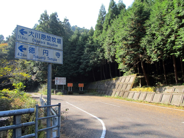 t12_017.jpg