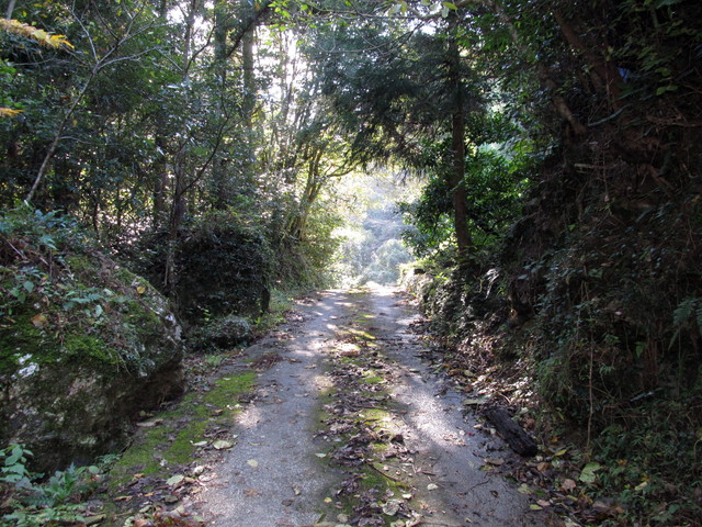 t12_020.jpg