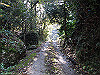 t12_020_thumb.jpg