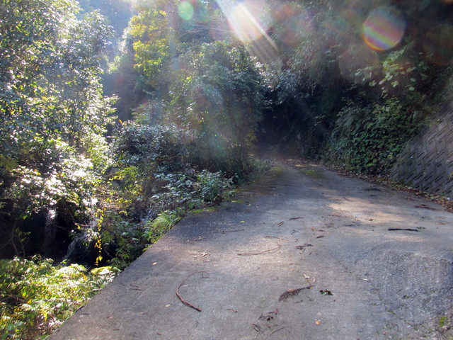 t12_021.jpg