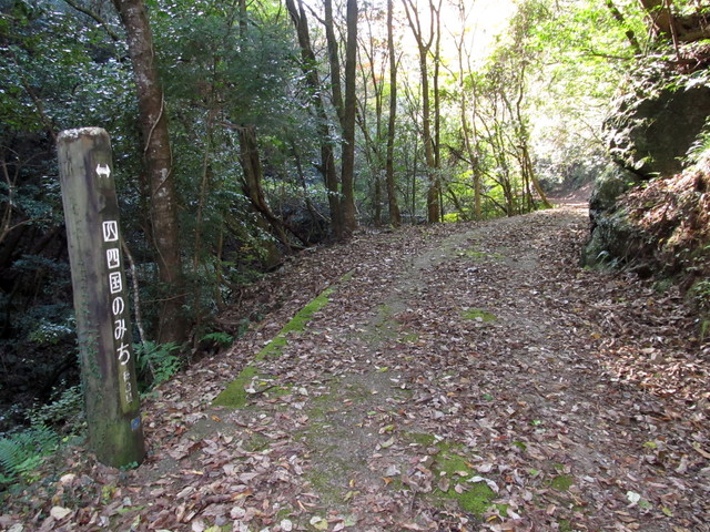 t12_022.jpg