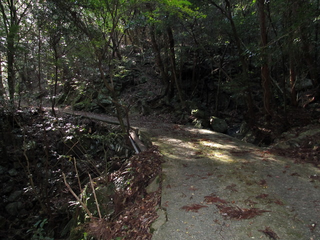 t12_024.jpg